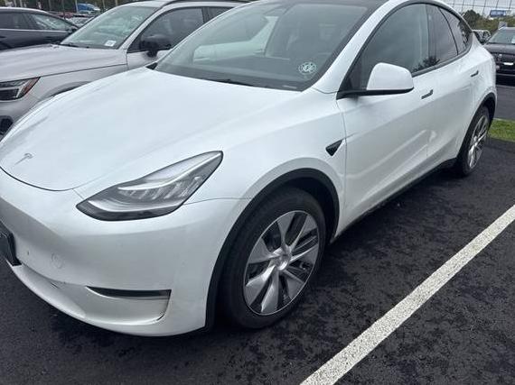 TESLA MODEL Y 2023 7SAYGDEE3PA035444 image